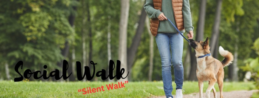 Social Walk Silent Walk