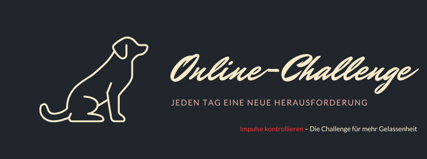 Online-Challenge Impulskontrolle