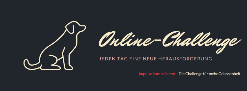 Online-Challenge Impulskontrolle