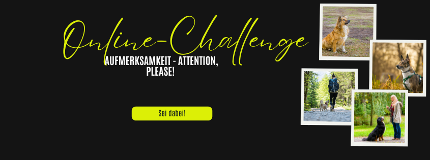 Online-Challenge "Aufmerksamkeit" 1 Attention please