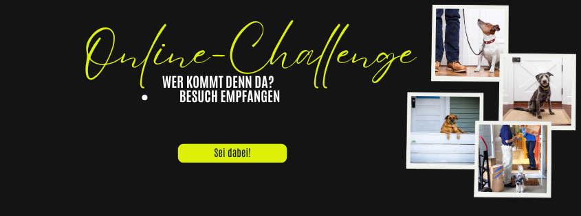 Online-Challenge "Wer kommt denn da? - Besuch empfangen" 1 Besuch empfangen