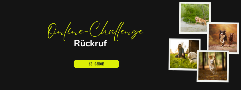 Online-Challenge "Rückruf" 1 Besuch empfangen