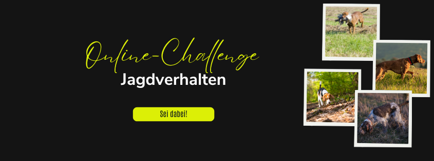 Online-Challenge "Jagdverhalten" 1 Jagdverhalten