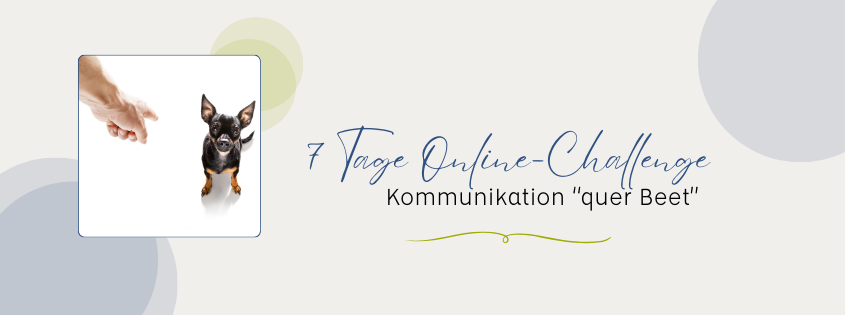 Online-Challenge "Kommunikation quer Beet" 1 Online Challenge