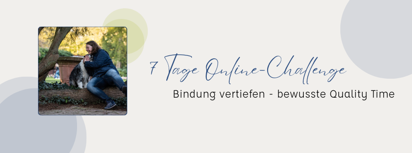 Online-Challenge "Bindung vertiefen - bewusste Quality Time" 1 Online Challenge Bindung