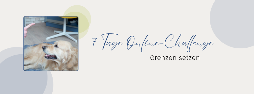 Online-Challenge "Grenzen setzen" 1 Online Challenge Grenzen