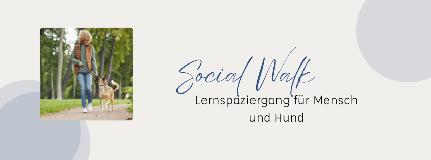 Social Walk 1 Titel