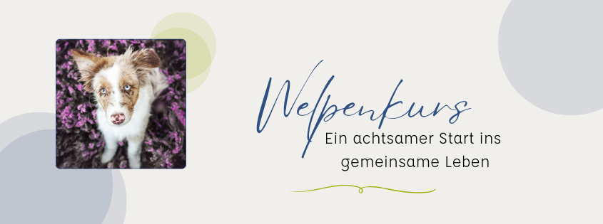 Welpenkurs 1 Welpenkurs