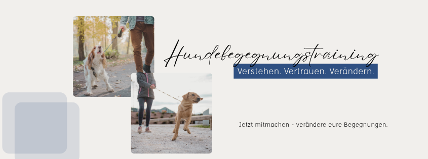 Hundebegegnungstraining 1 Hundebegegnungstraining