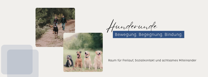 Hundebegegnungstraining