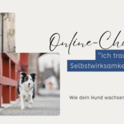 Online Challenge Selbstwirksamkeit