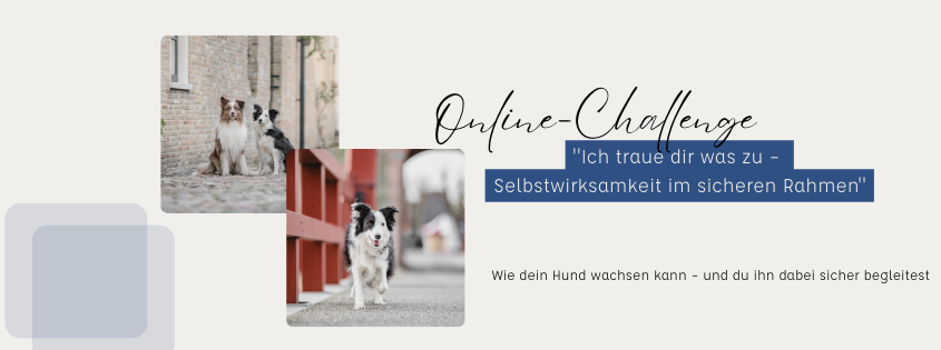 Online-Challenge "Ich traue dir was zu – Selbstwirksamkeit im sicheren Rahmen" 1 Online Challenge Selbstwirksamkeit
