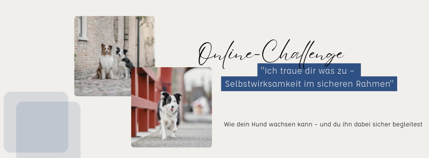 Online-Challenge Selbstwirksamkeit